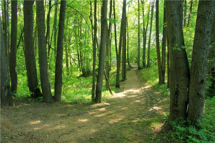 46-ой Пушкинский праздник поэзии в Берново. Часть первая