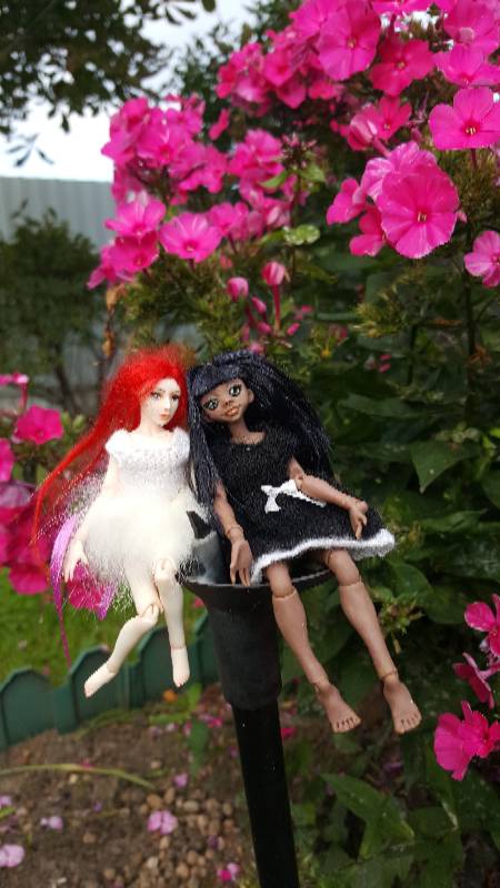 Шоколадка и Беляночка — Авторские куклы BJD (БЖД) у нас дома: фото