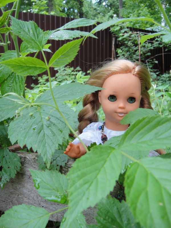 Как Шарлотта ездила на дачу