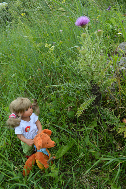 Самый маленький турист. Линда и Среда