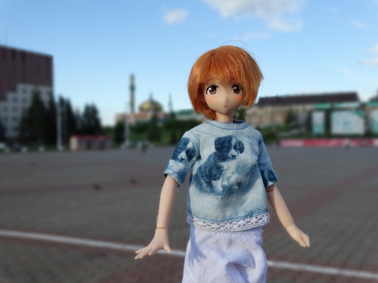 Путешествие с Азоночками Azone doll