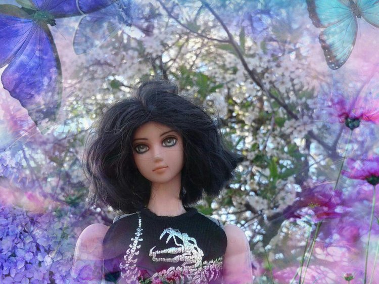 Простенькая программа для редактирования фото на телефоне