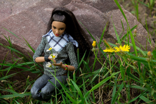 Мои Барбеечки Made to Move и гибриды