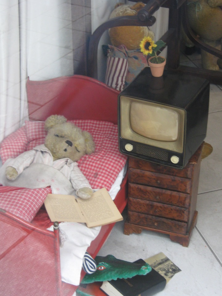 Медвежий флэш-моб – воспоминание о Вене (фото 8)