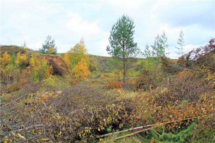 Тверской Водопад — Туризм и путешествия: фотоотчеты из поездок