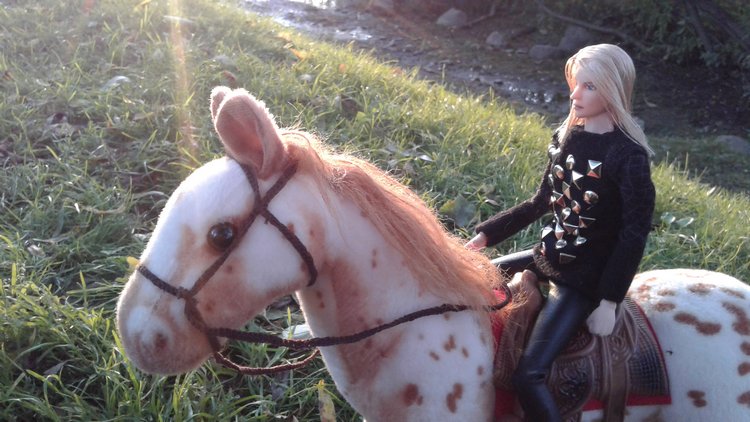 Зимнее солнце. Глава 6. Дом там, где сердце