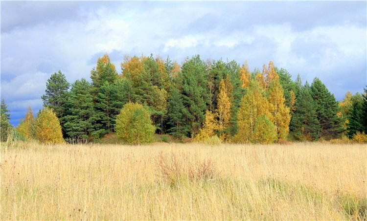 Тверской Водопад — Туризм и путешествия: фотоотчеты из поездок
