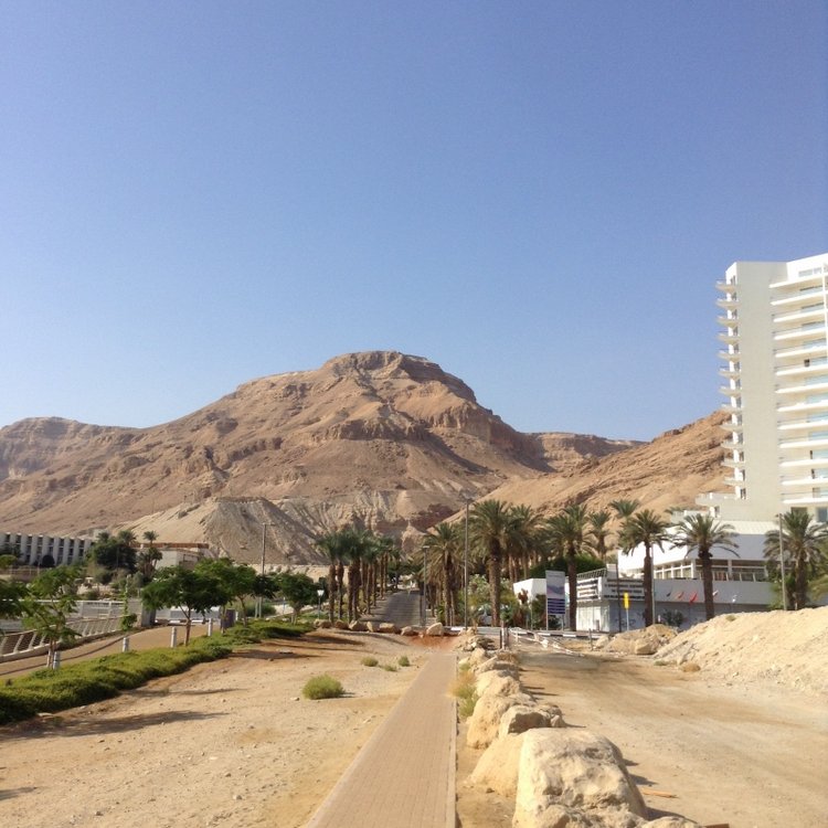 Белое солнце пустыни. Ч.2. Восточное, Соленое, Мертвое море- легенда (фото 6)