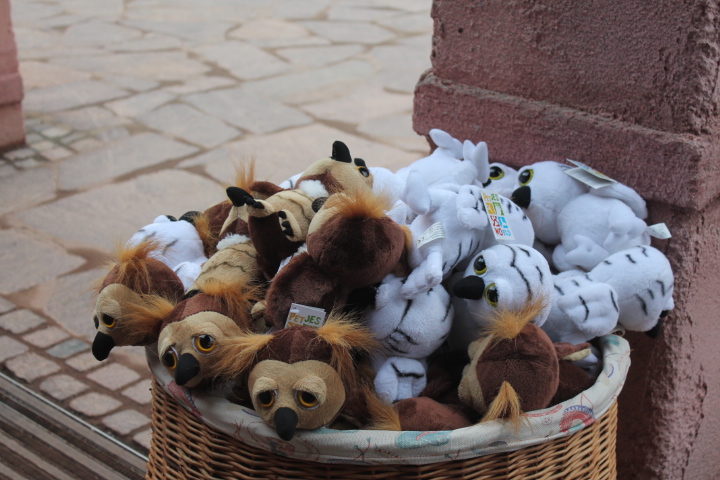 По Германии: зоопарк Лейпцига, часть 2