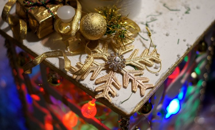 Праздничный фонарь — Другие хобби и увлечения: сад (фото 7)