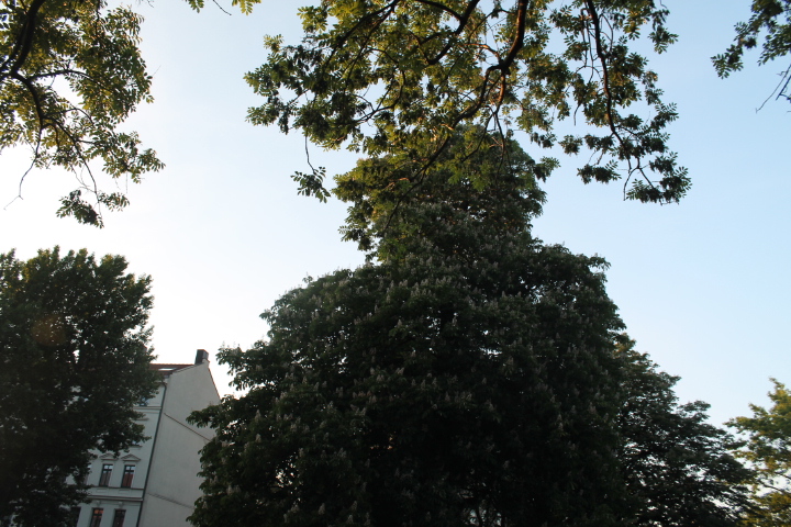 По Германии: весна в Лейпциге