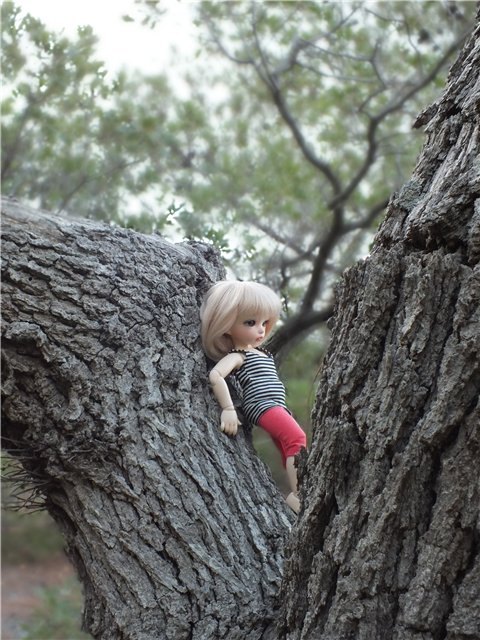 Крымские каникулы для Оливки | Бэйбики Крымские каникулы для Оливки