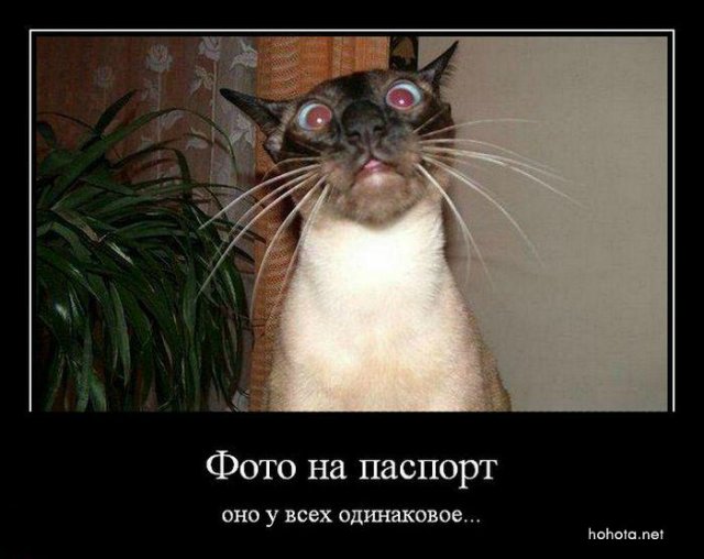 Для тех,кому сейчас грустно | Бэйбики Для тех,кому сейчас грустно (фото 3)