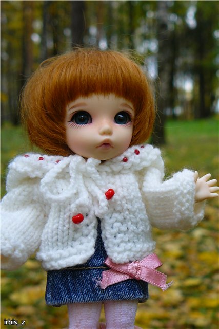 Вот так погуляли или Как у нас появилась кукла БЖД LittleFee Ante Elf