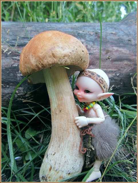 Путешествие Яшки | Бэйбики Путешествие Яшки — Куклы Fairyland (ФэйриЛэнд): BJD (БЖД) (фото 3)