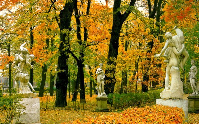 Прекрасная ошибка или Петербургом хочется дышать. Путь к сердцу