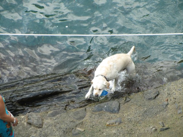 Моя Италия. Часть 2 - Леванто, Манарола