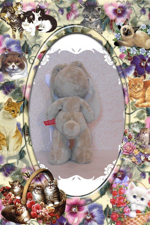 Зайка в подарок — Кот Басик (фото 5)