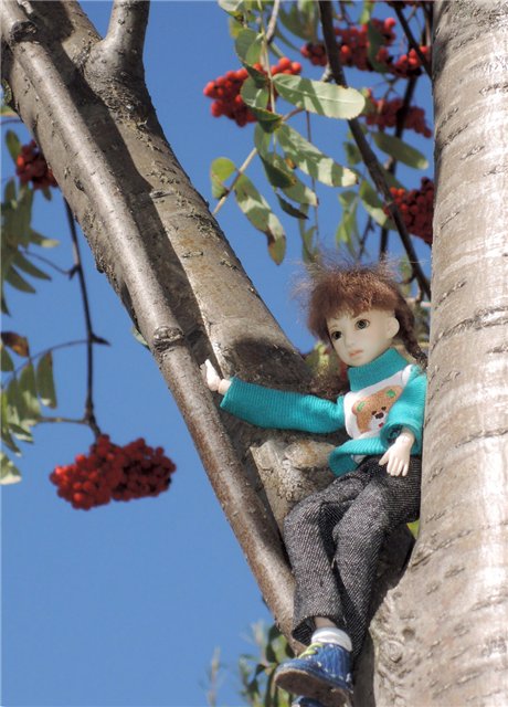 Рябиновый день — Куклы и тела Obitsu (Обитсу): 1/6 (фото 8)