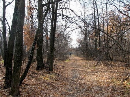 Банановый пирог — Винтажные куклы ГДР (Немки): Бигги