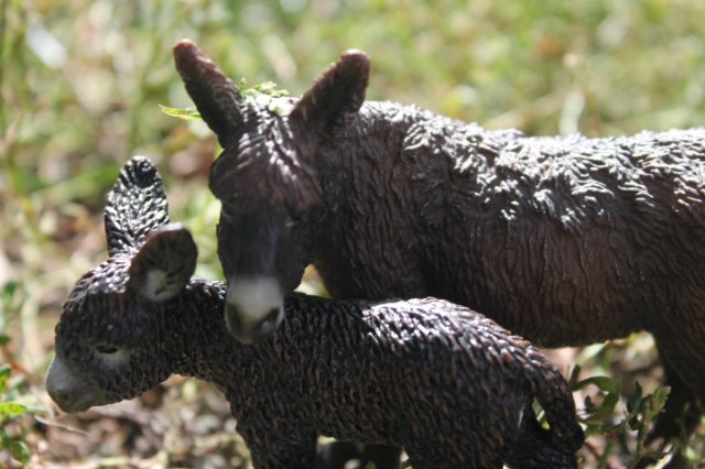 Раз, два, три, четыре, пять... Вышел ослик погулять | Бэйбики Раз, два, три, четыре, пять... Вышел ослик погулять (фото 6)