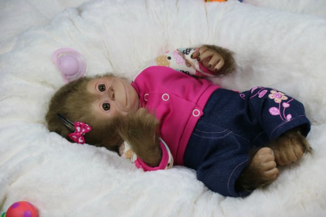 Мартышка - малышка... Куколка реборн Виктории Вишни