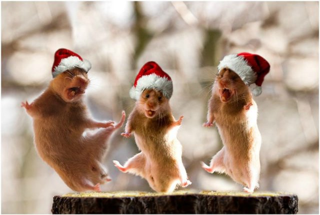 10 секретов счастья или Оксана,все у нас хорошо!Для poklon1979