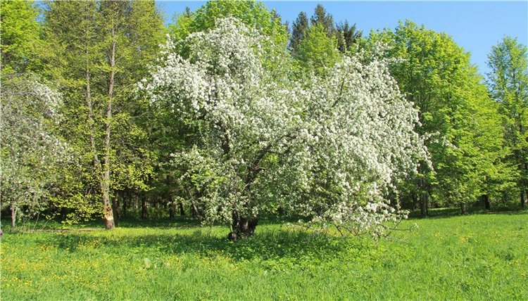 Субботний вояж. Третья часть | Бэйбики Субботний вояж. Третья часть