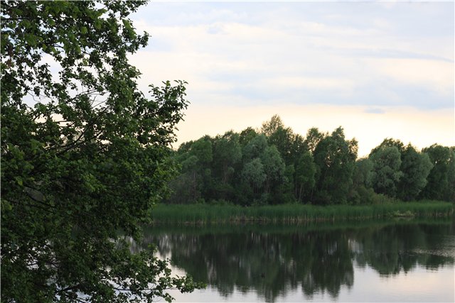 Аленький цветочек, сказка