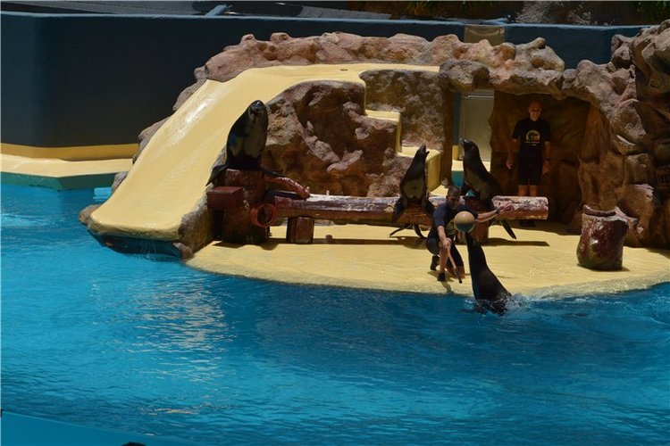 Испания. Тенерфе. Часть 2. Лоро парк