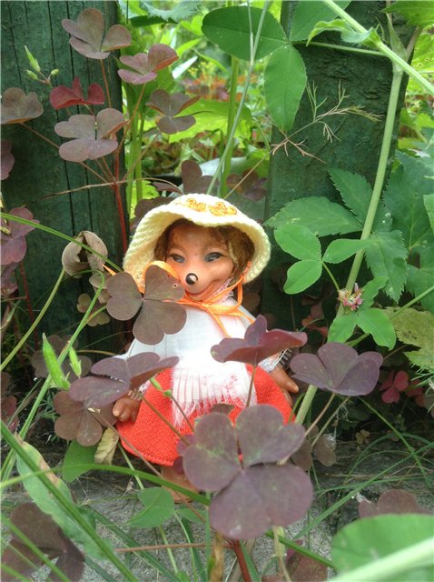 Мои куклы и пупсики ГДР, часть 2, прогулка в саду (фото 5)