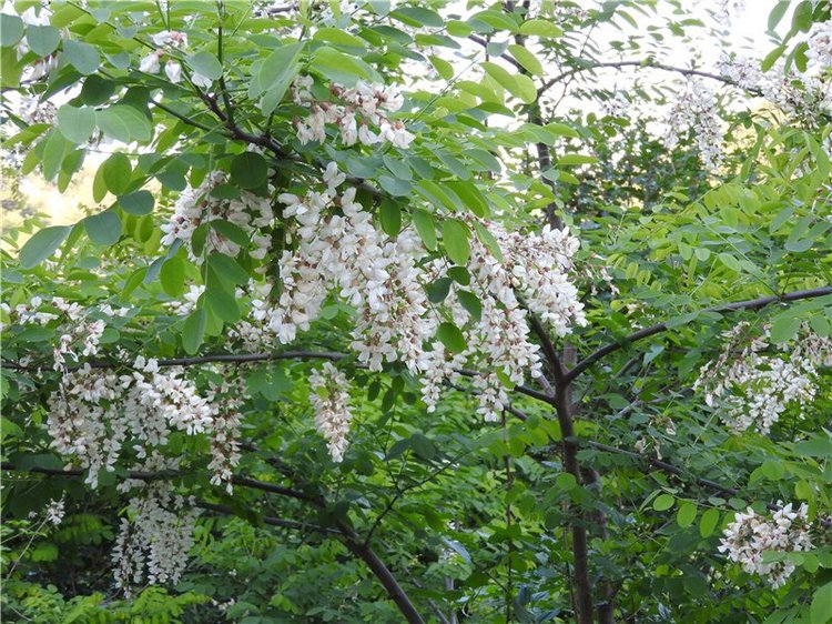 Любителям маленьких кукол