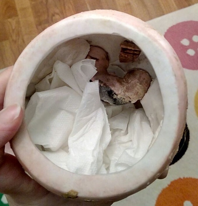 Перетяжка и небольшой ремонт антикварной A.Marseille (фото 8)