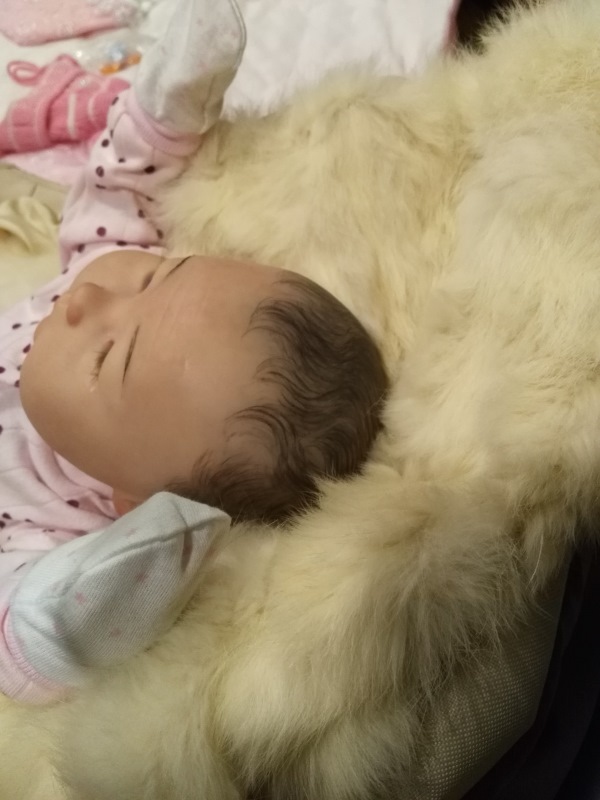 Льдинка севера — Куклы Реборн (Reborn): работы мастеров