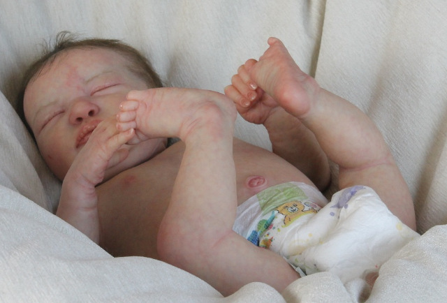 Сиренити от Екатерины Бойковой. Serenity Laura Lee Eagles