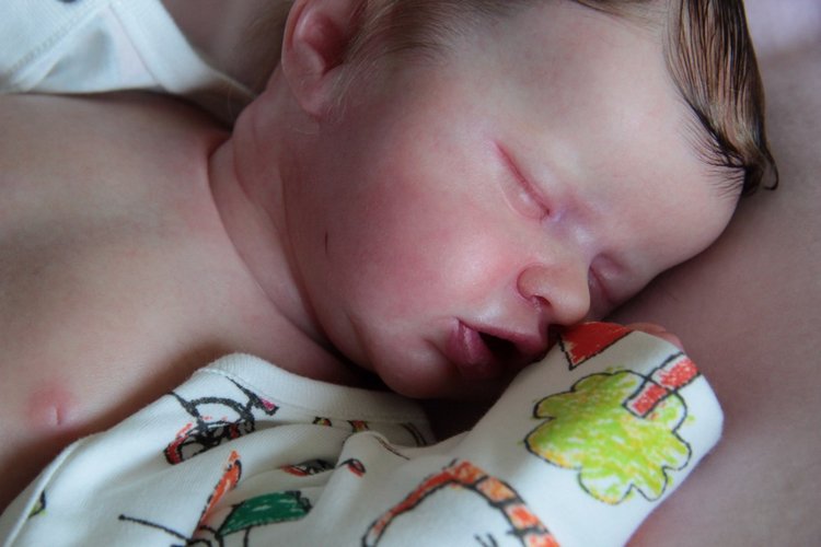 Indie by L.L.E. Кукла реборн Саутер Антонины