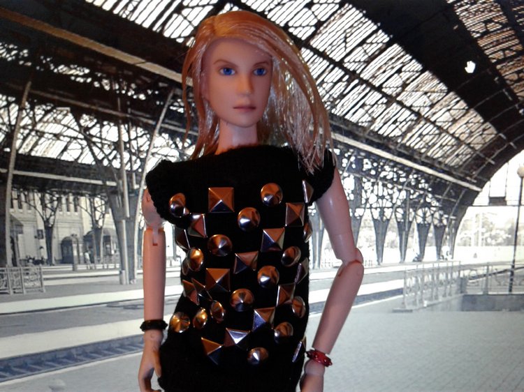 Зимнее солнце. Глава 1. Сказочный поезд (фото 8)