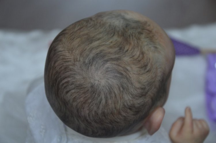 Еще одна вариация на тему Саския (фото 6)