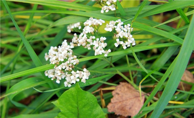 Тверской Водопад — Туризм и путешествия: фотоотчеты из поездок