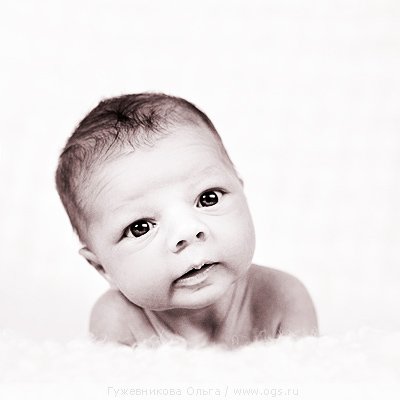 Рисовалочки цифровые — Другие хобби и увлечения: сад