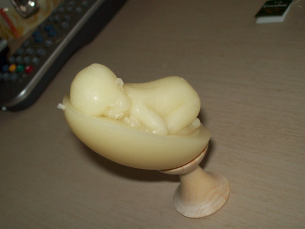 Свеча-малыш — Другие хобби и увлечения: сад (фото 3)