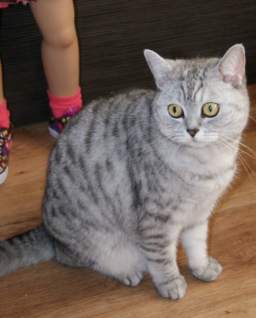 У нежности есть имя ... Lihle