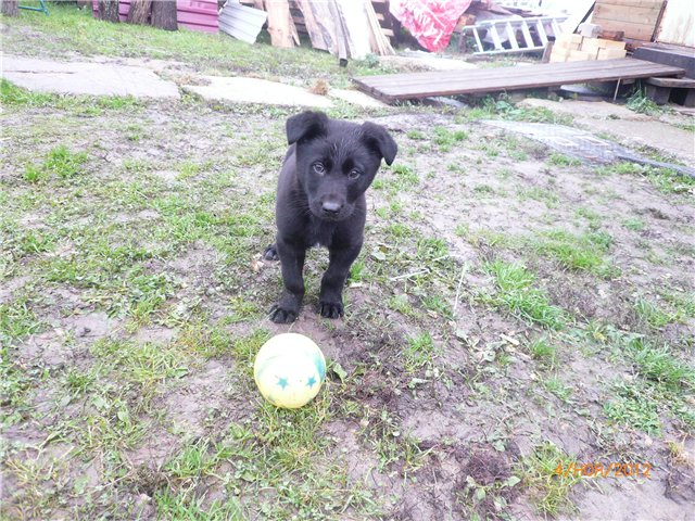 Кукла Адора - мое Солнышко (фото 9)