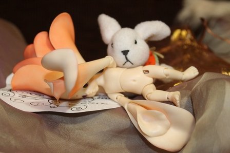 Как мы встречали братишку Гошу! (Цветуля-2). Fairies, Dollzone (фото 6)