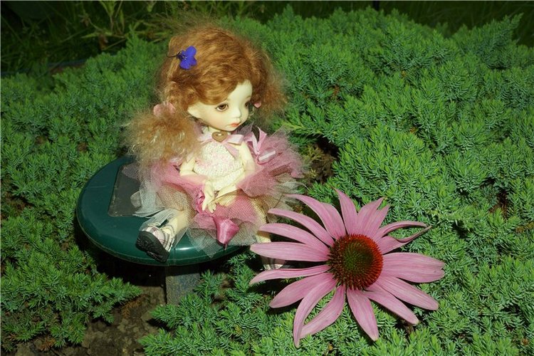 Знакомьтесь - моя Алиса! Куклы Irrealdoll (фото 9)