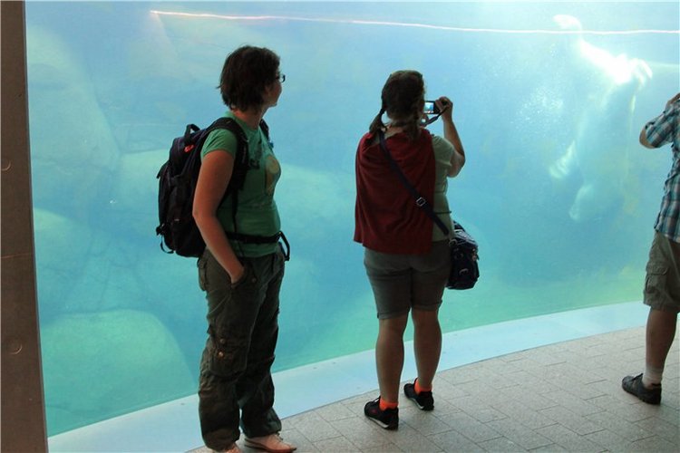 Командировка в Данию фейсинки (Galoob Baby Face doll)