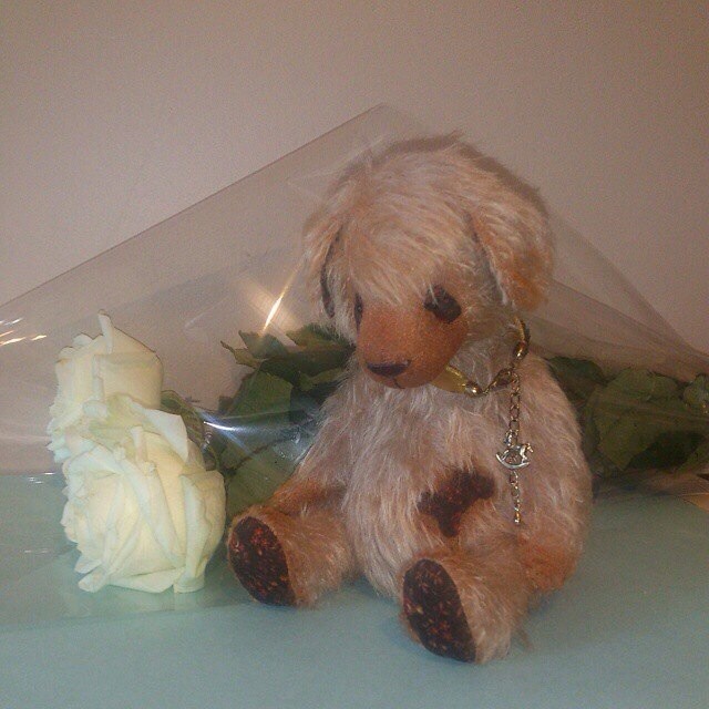 Teddy щенок Валентин. Игрушки ручной работы (фото 4)