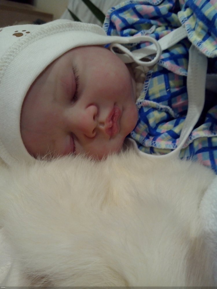 Молд Кейт, от Марисы Мей. Лапонька Катюша