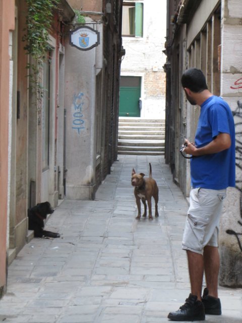 "Моя Италия". Часть 7 (заключительная) - Венеция