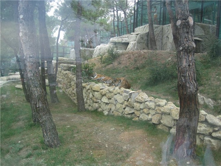 Галчонок и лето. Винтажна куколка СССР Галя